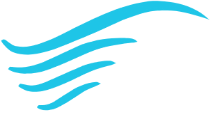 OpiniFlow logo